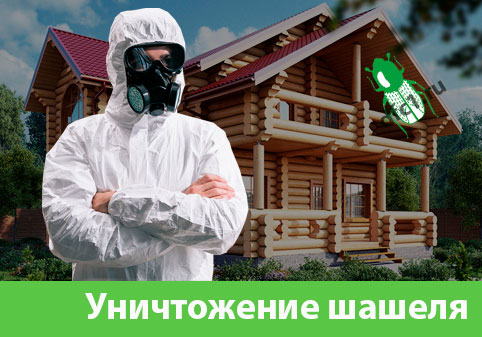 Уничтожение шашеля и личинок в Михайловке